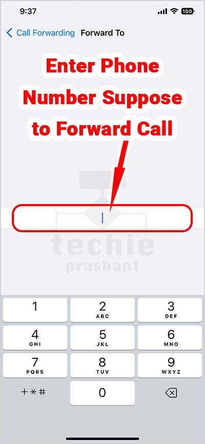 Enter Phone Number Suppose to  Forward Call on iPhone