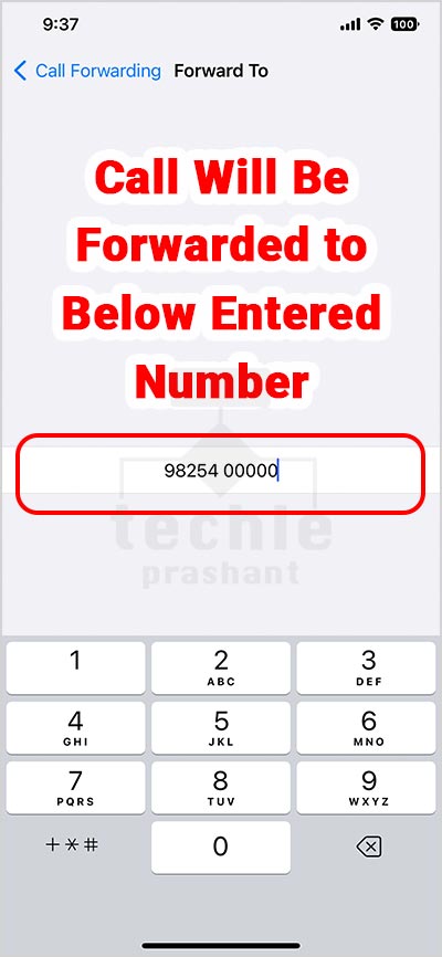 Call will be forwarded to entered number.